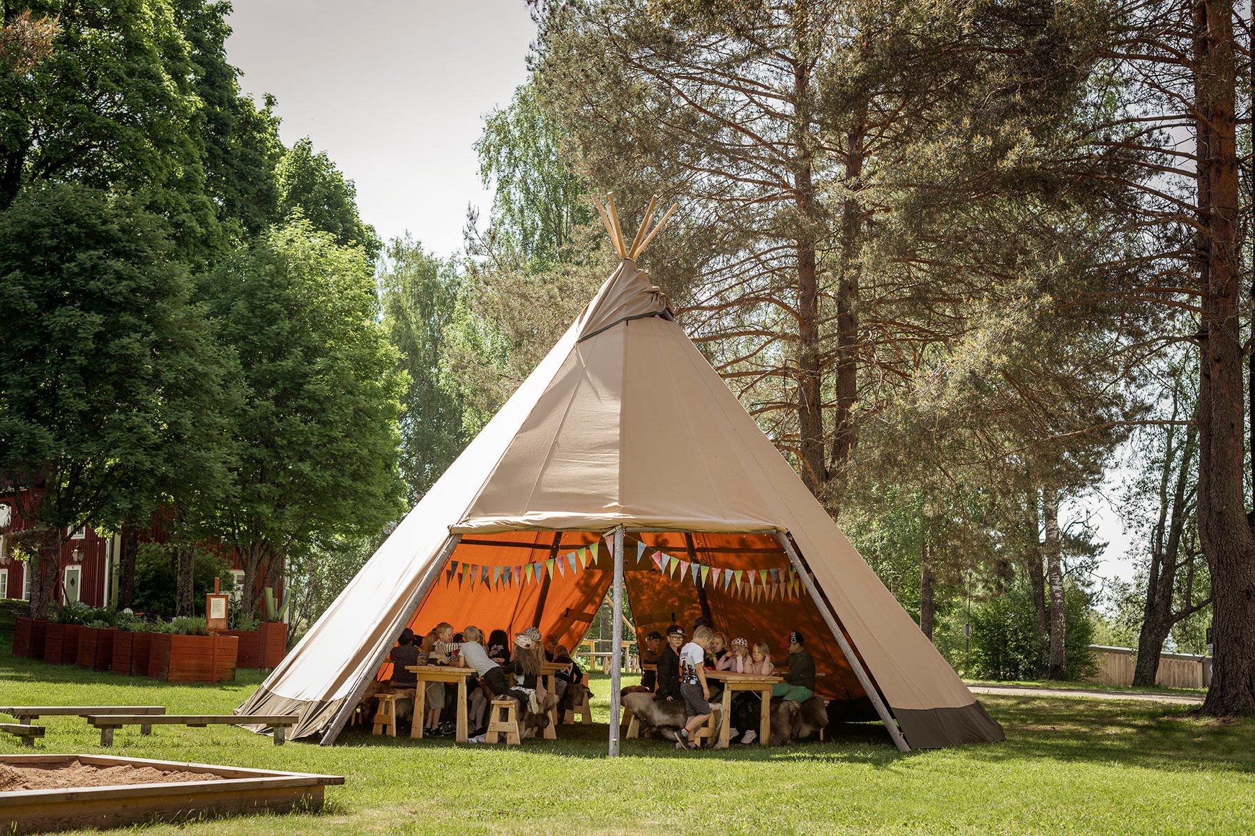 Tipi Cirrus i skovomgivelser med gyldent lys